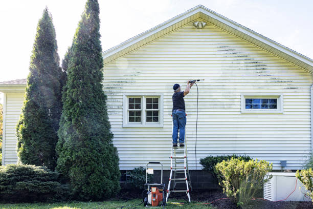 Best Spring Cleaning  in Shelby, MS